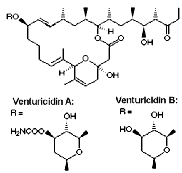  Structure formula of venturicidin 